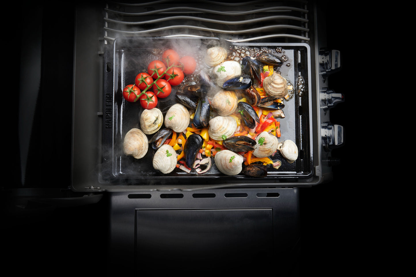 Plancha passend für Freestyle, Rogue 425/525/625; LE & LEX, Prestige & PRO