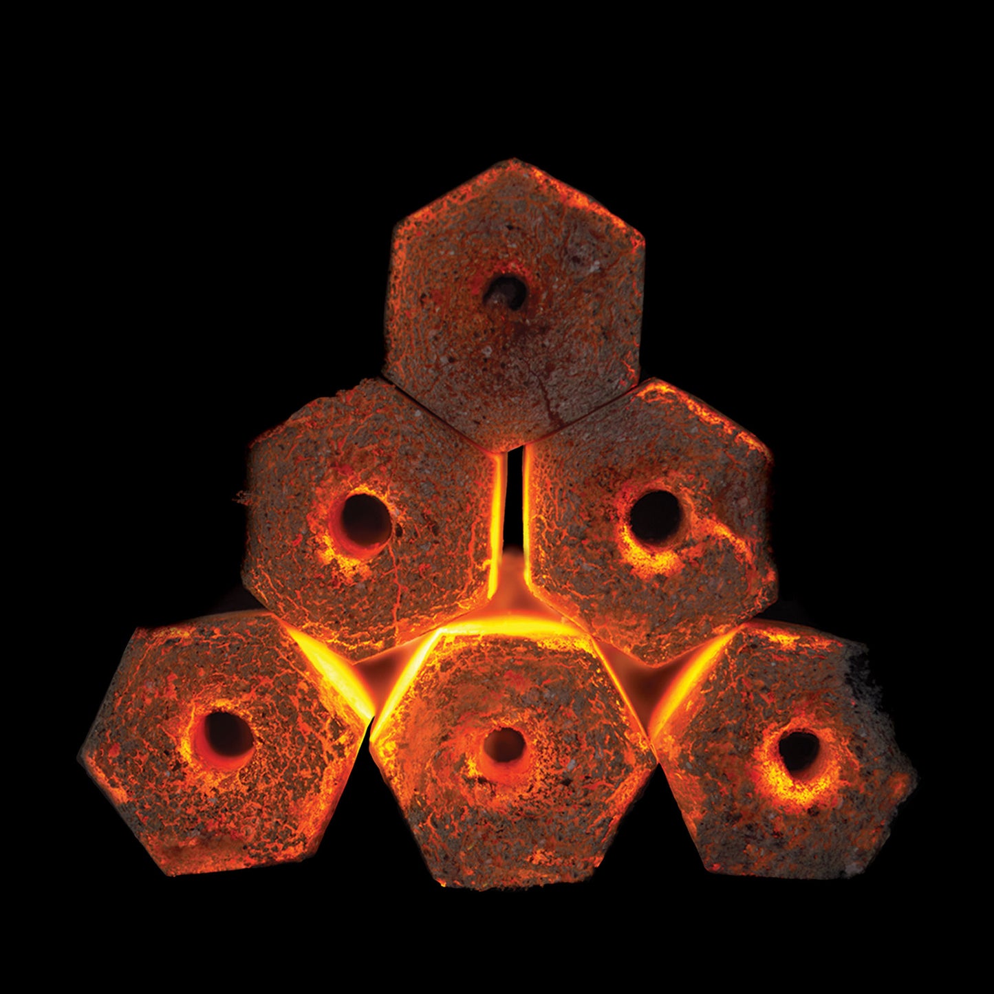 Napoleon Kokos-Briketts – 10 kg (4 x 2,5 kg)