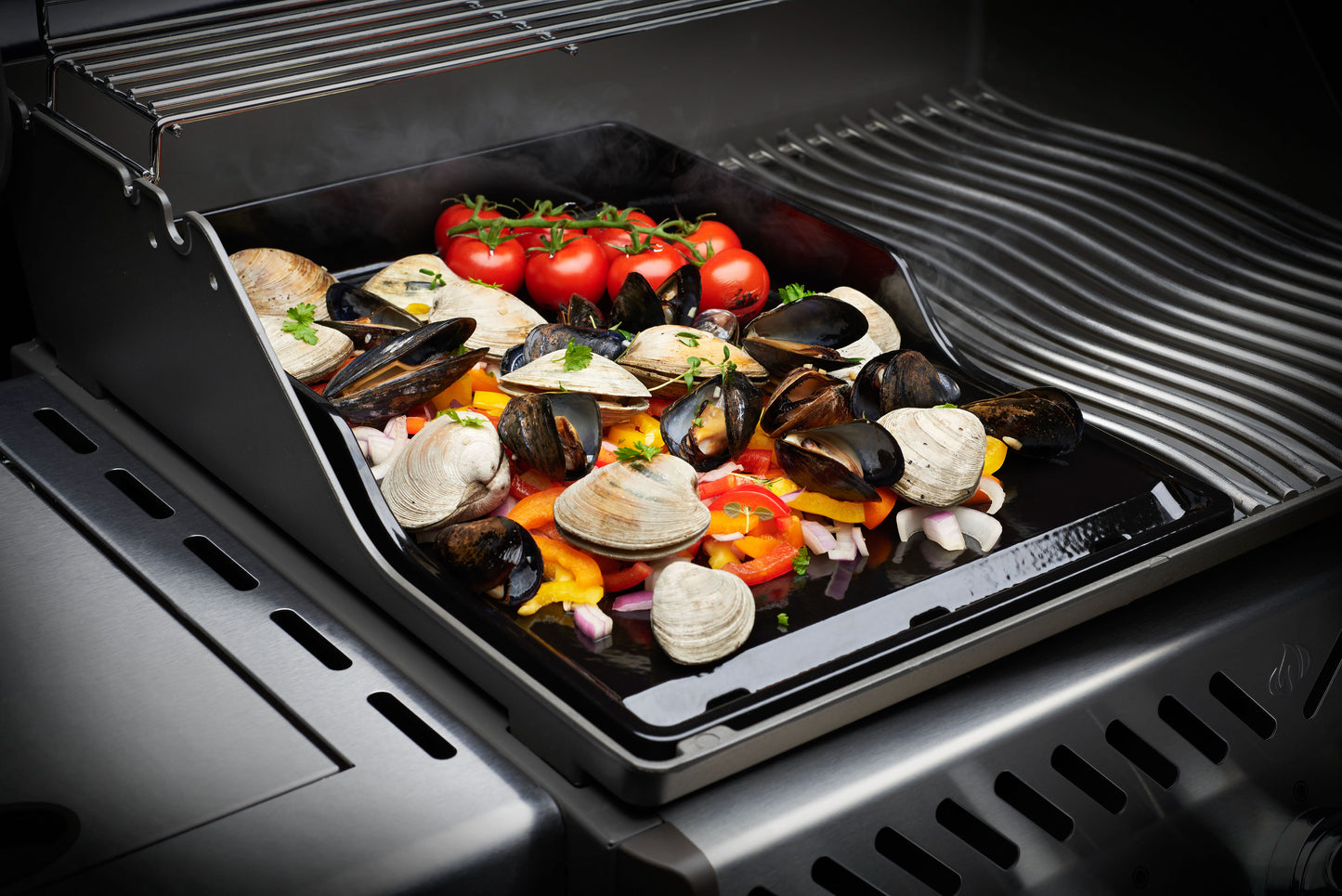 Plancha passend für Freestyle, Rogue 425/525/625; LE & LEX, Prestige & PRO